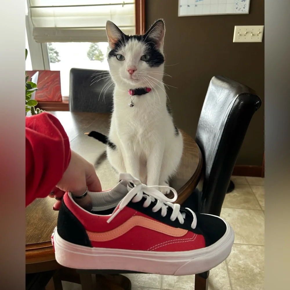 Brand New Vans! - Picture 5 of 5